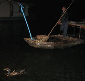 20080318-cormorant Guilin-fishing teh wanderer years2.jpg